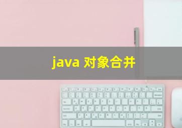 java 对象合并